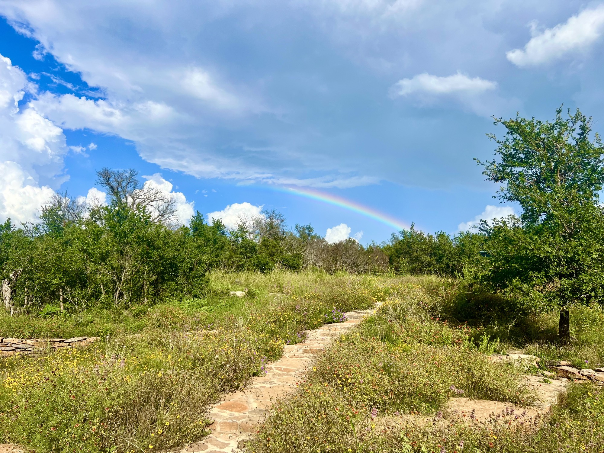 Stone path through wildflowers leading toward a rainbow over the Hill Country at Twin Hooks Ranch.