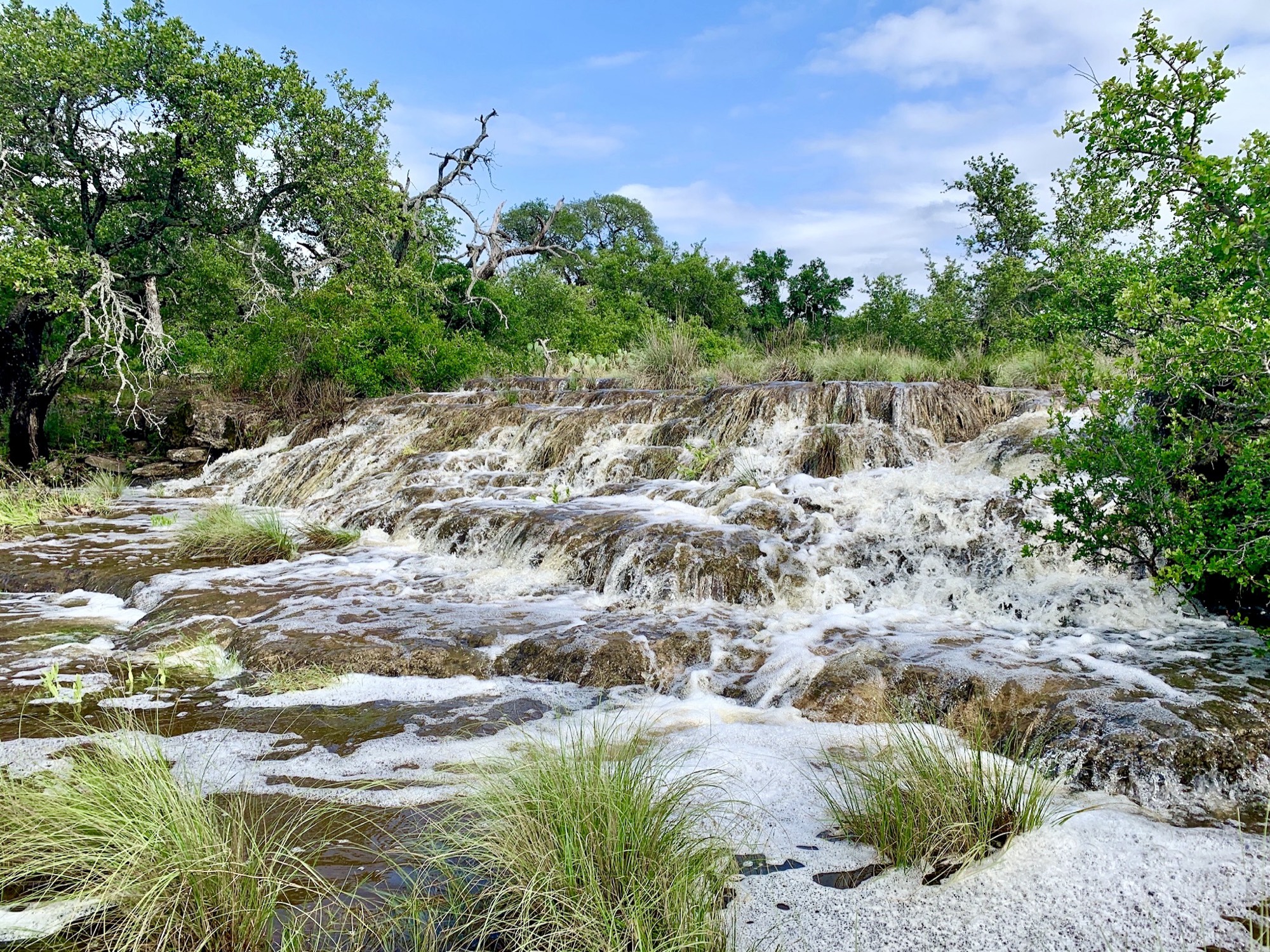 Multi-tiered limestone waterfall with white cascading water and a green tree canopy above.